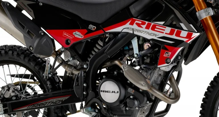 Rieju Marathon 125 Enduro detalle-3